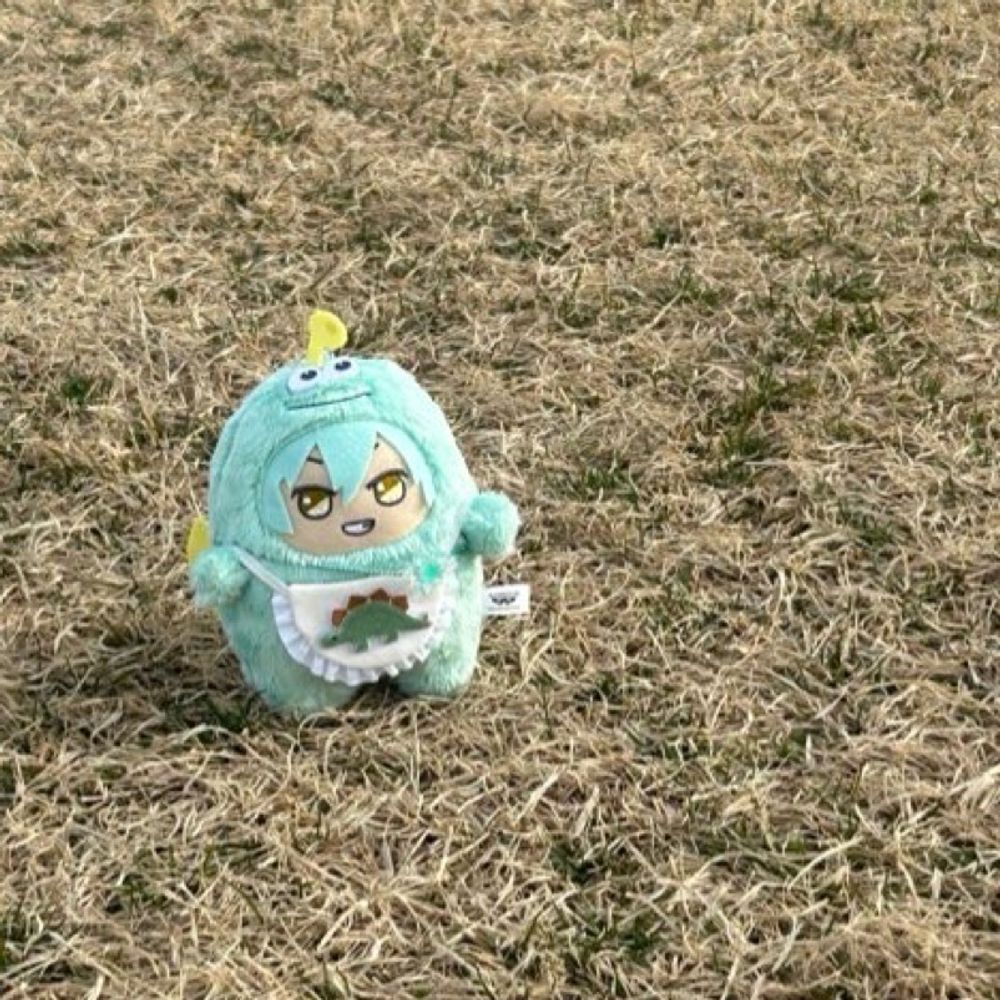 ﾓｹﾞ