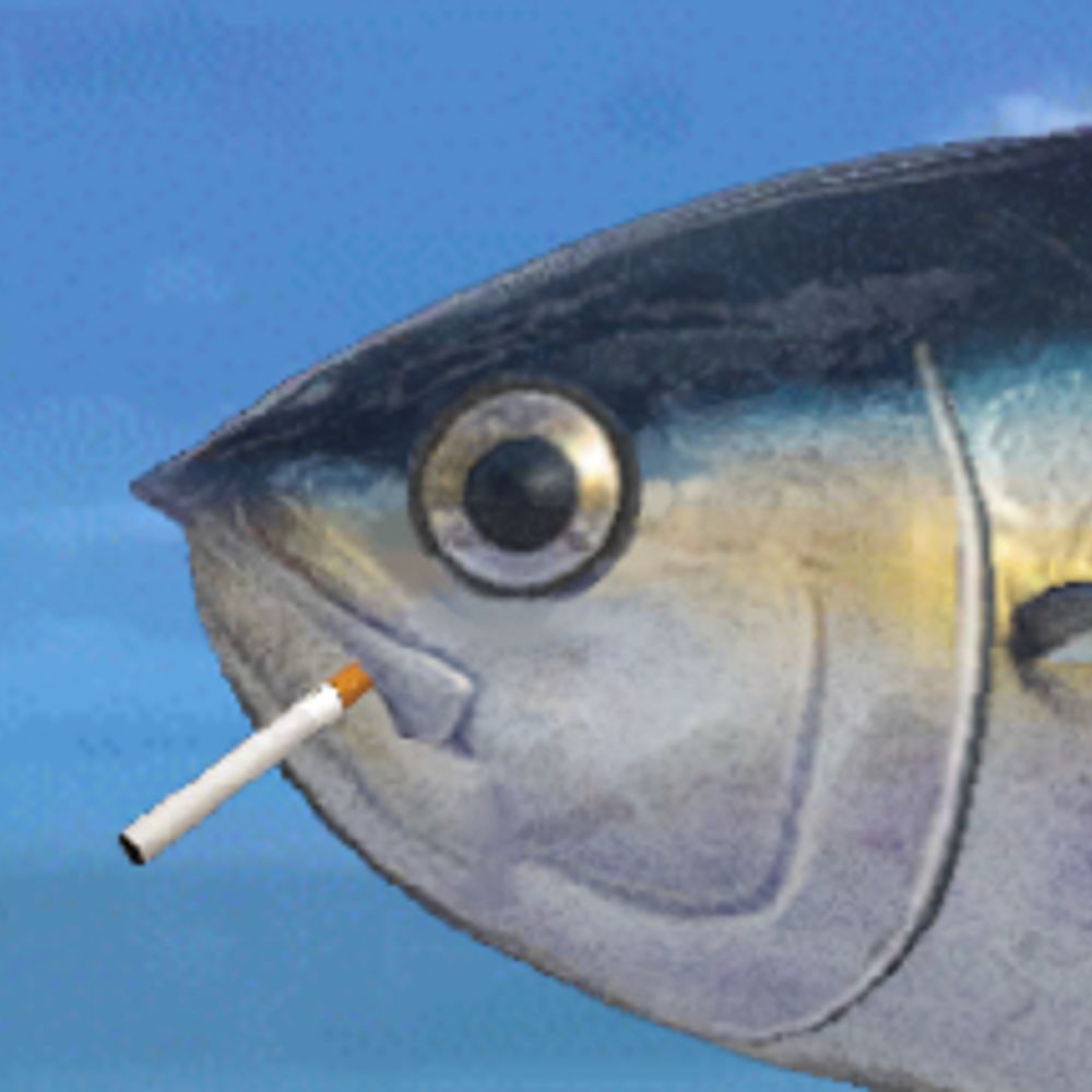 fish