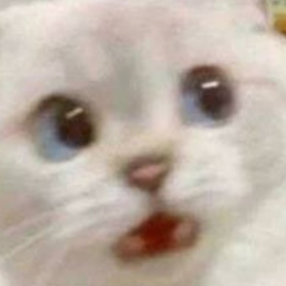 뾰롱