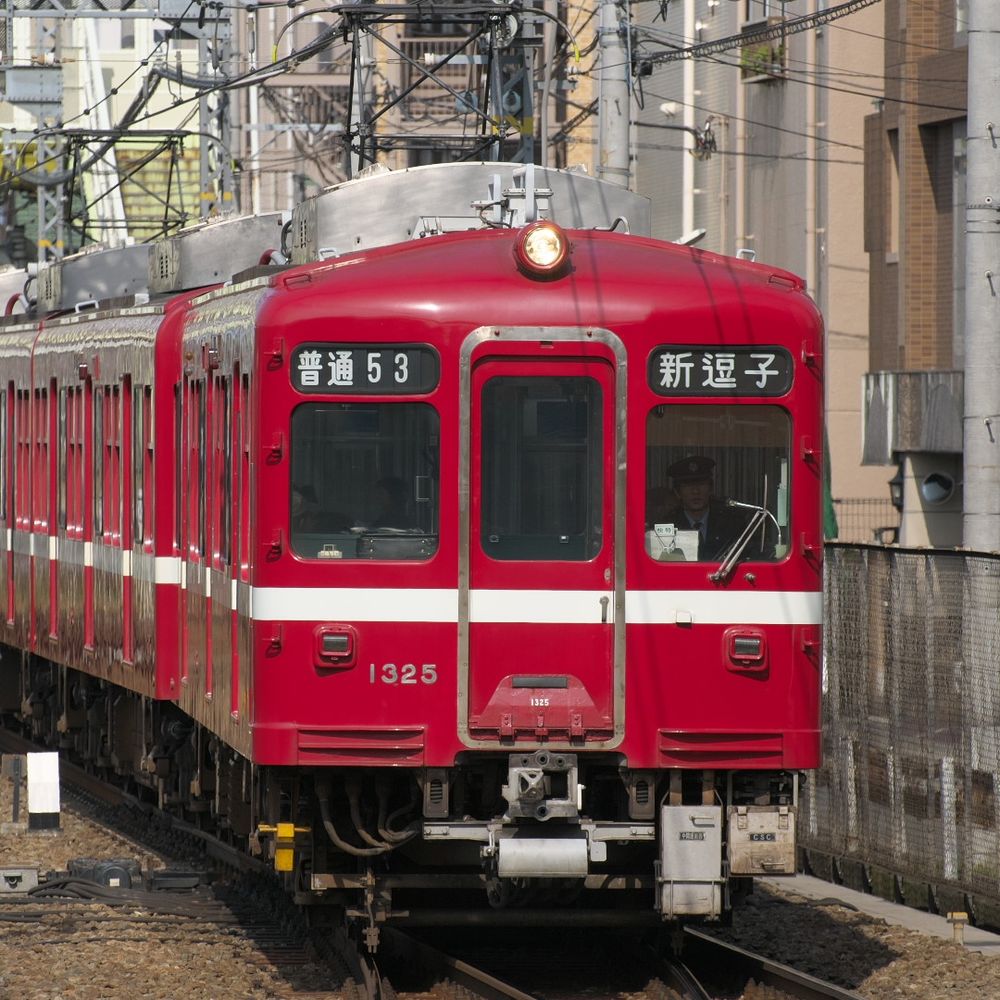 きたきた
