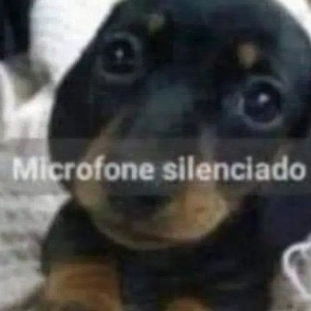 marcelo