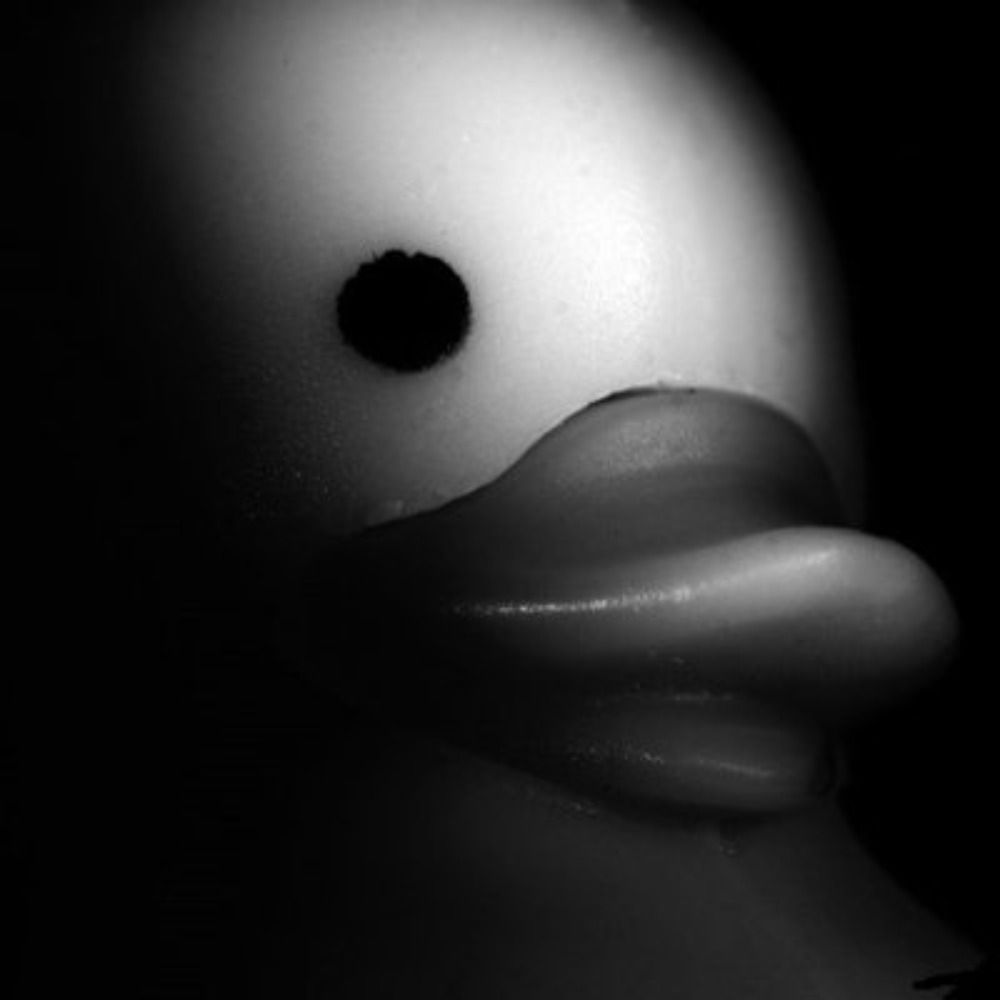 omgrubberduck
