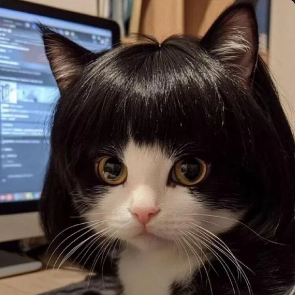 Stella