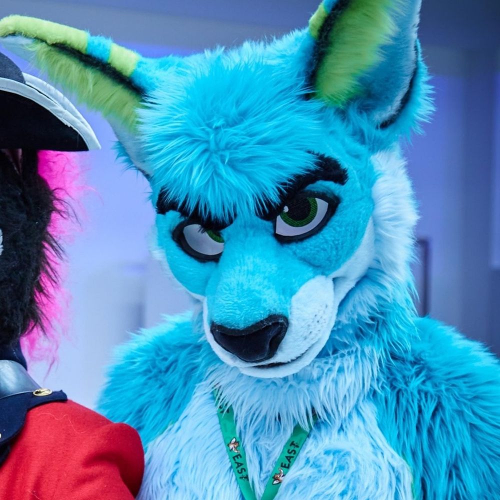 TechRoo @FWA