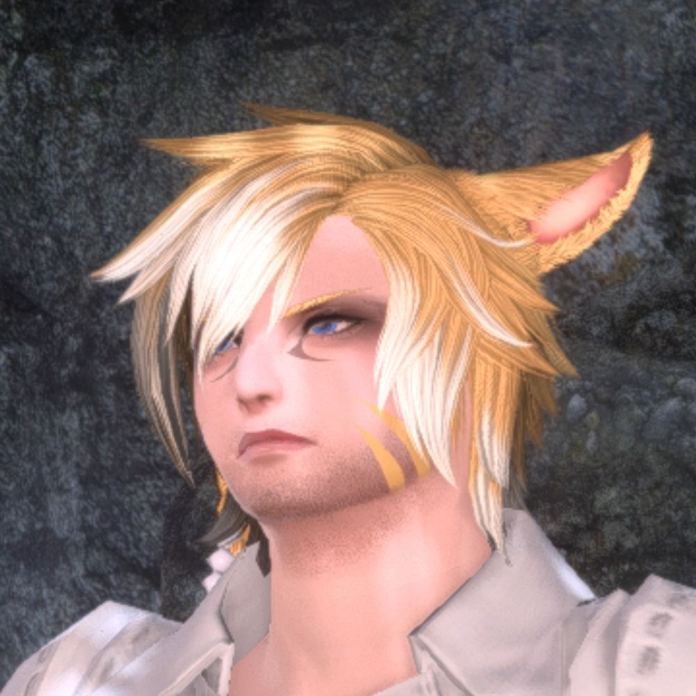 catboy on the internet