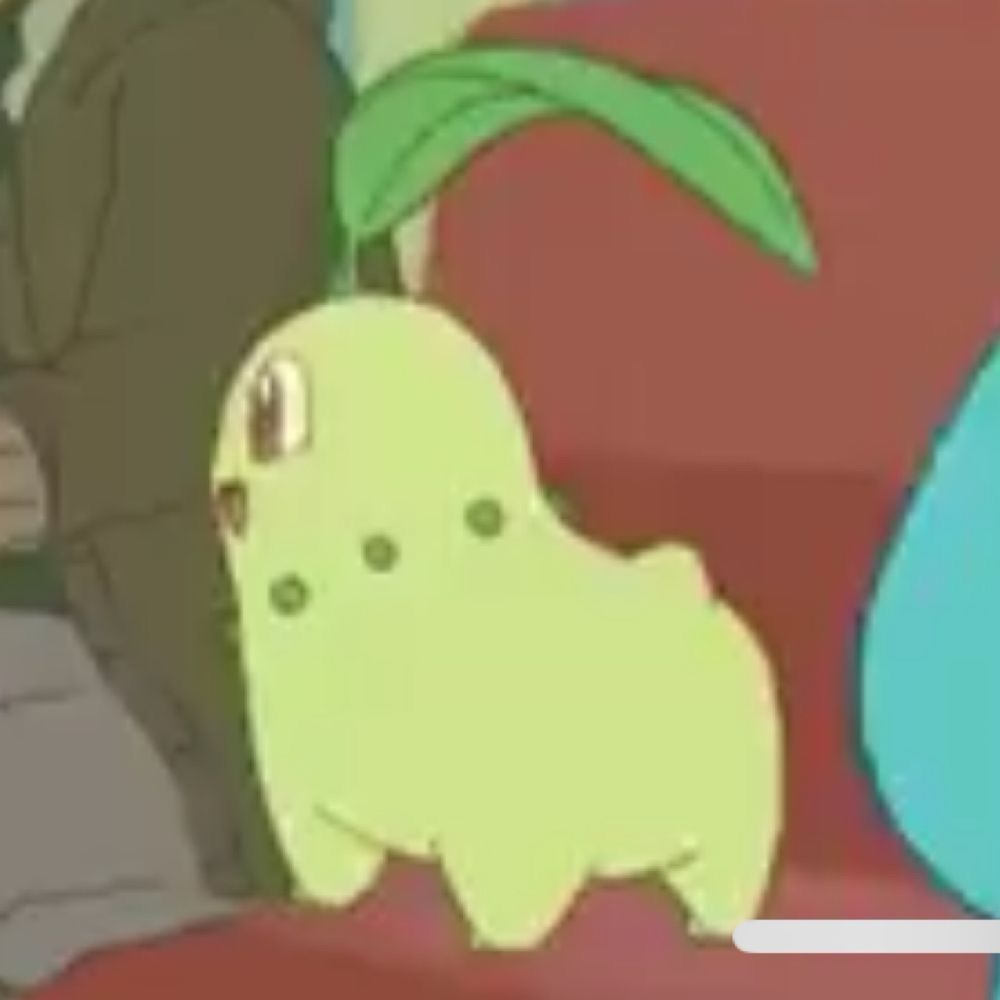 しゃいにー