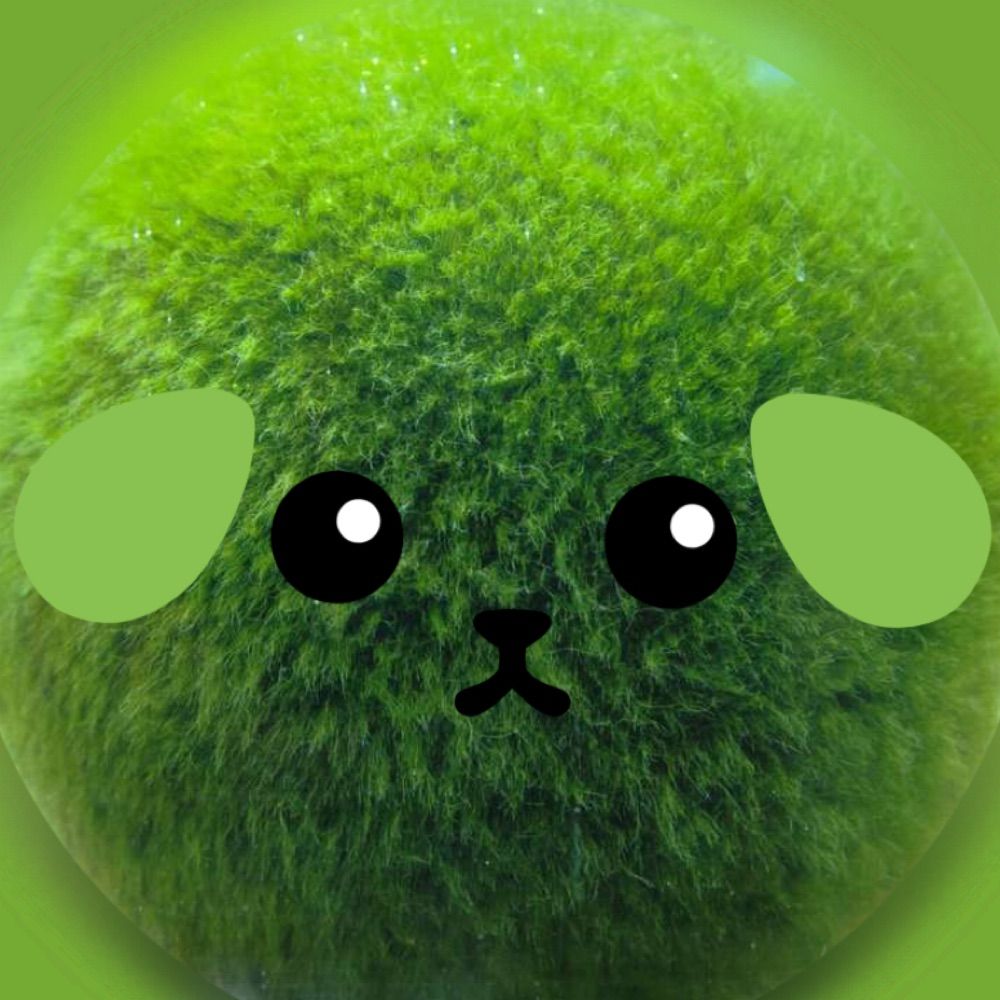 shay 🌱