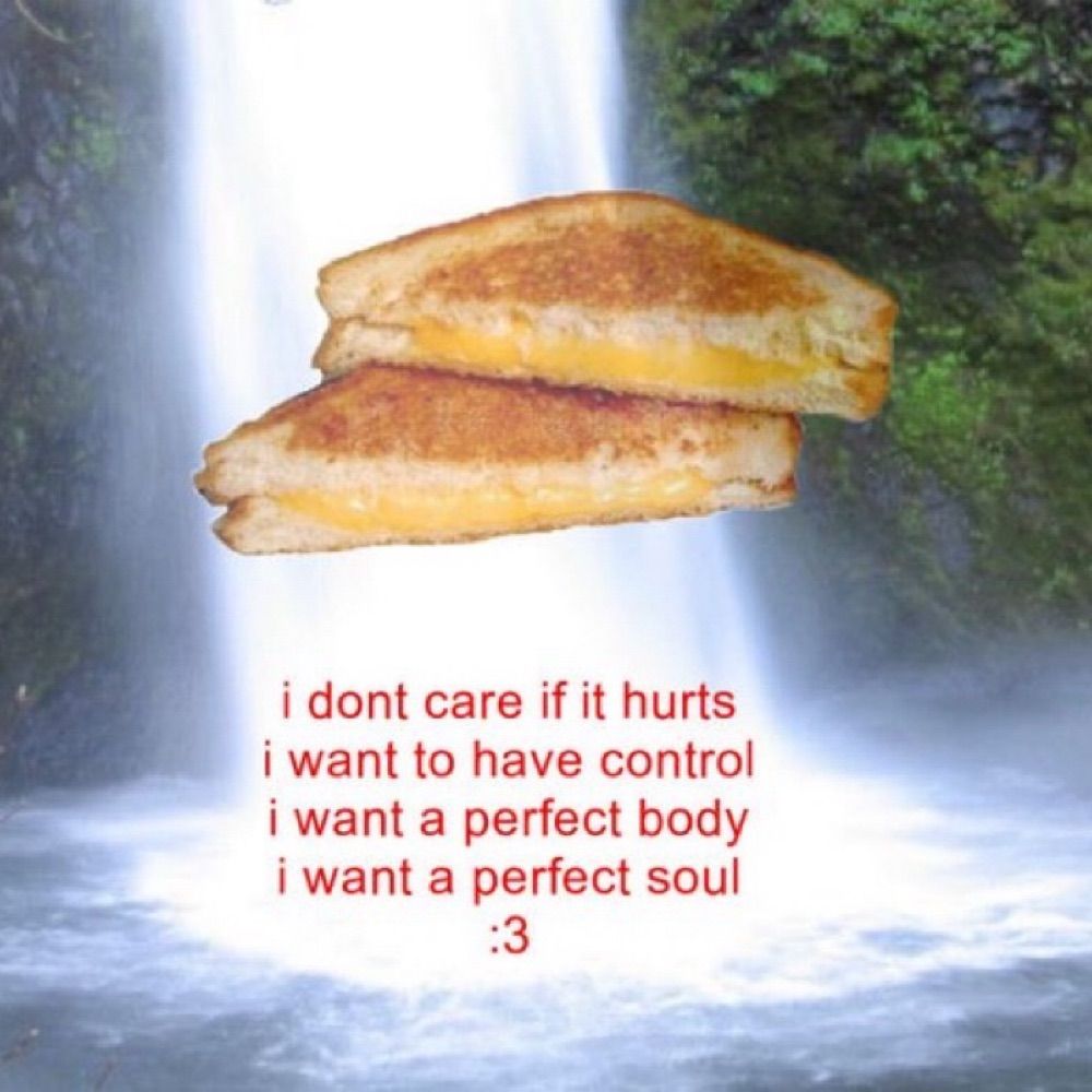 ♡ (๑･̑◡･̑๑) ♡