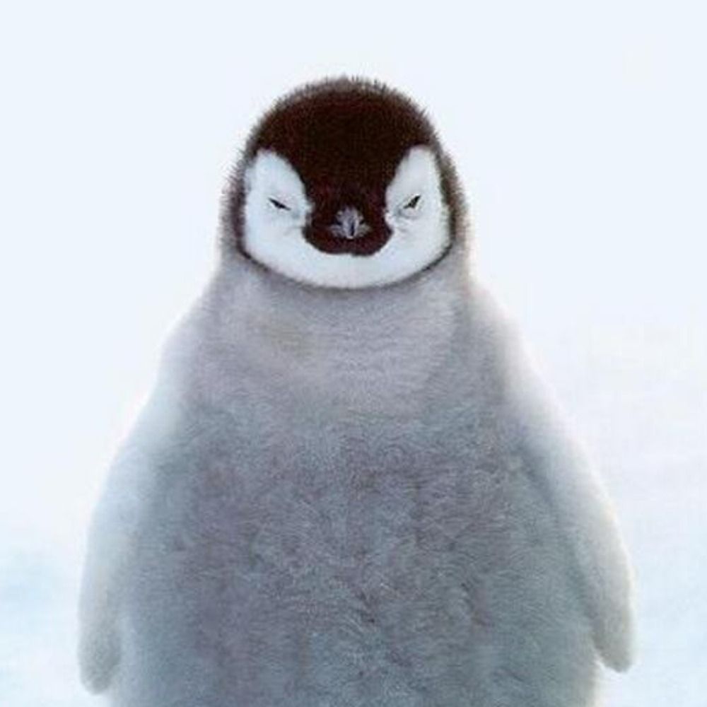 いねむりペンギン