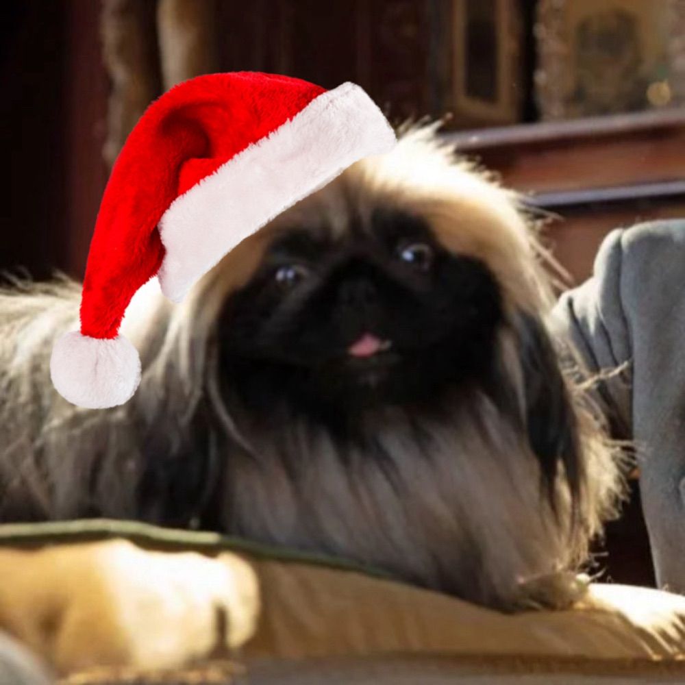 mince bry 🎄