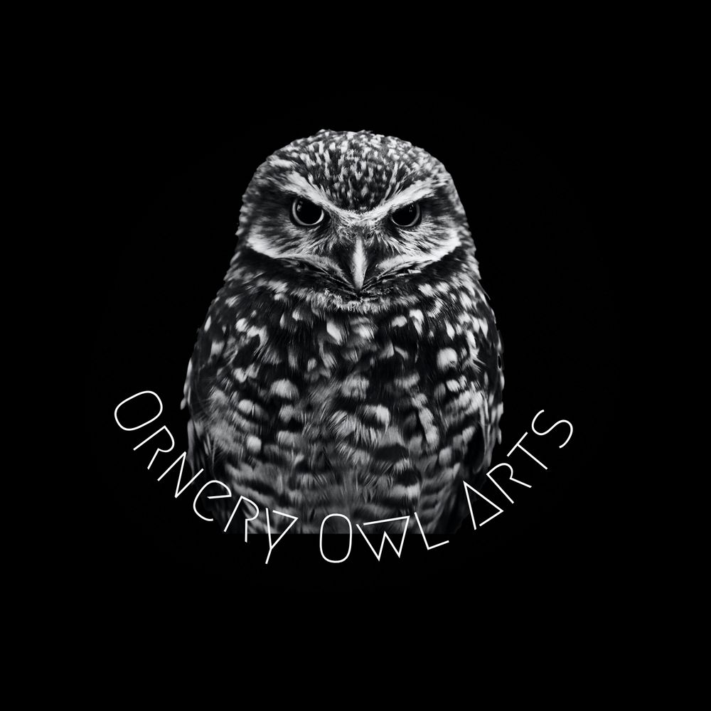 Ornery Owl Arts