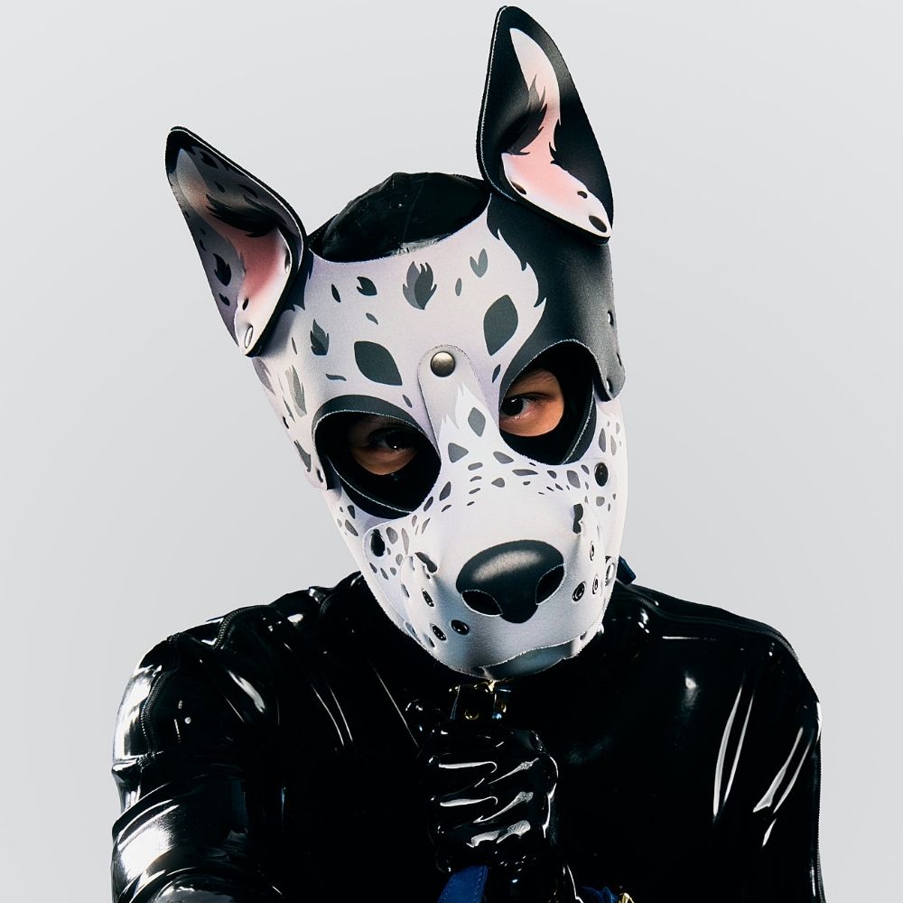 Pup Kaz