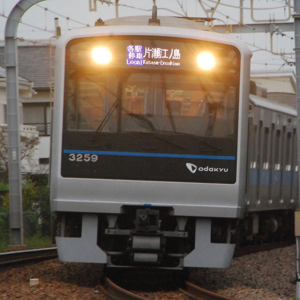 ごまなご