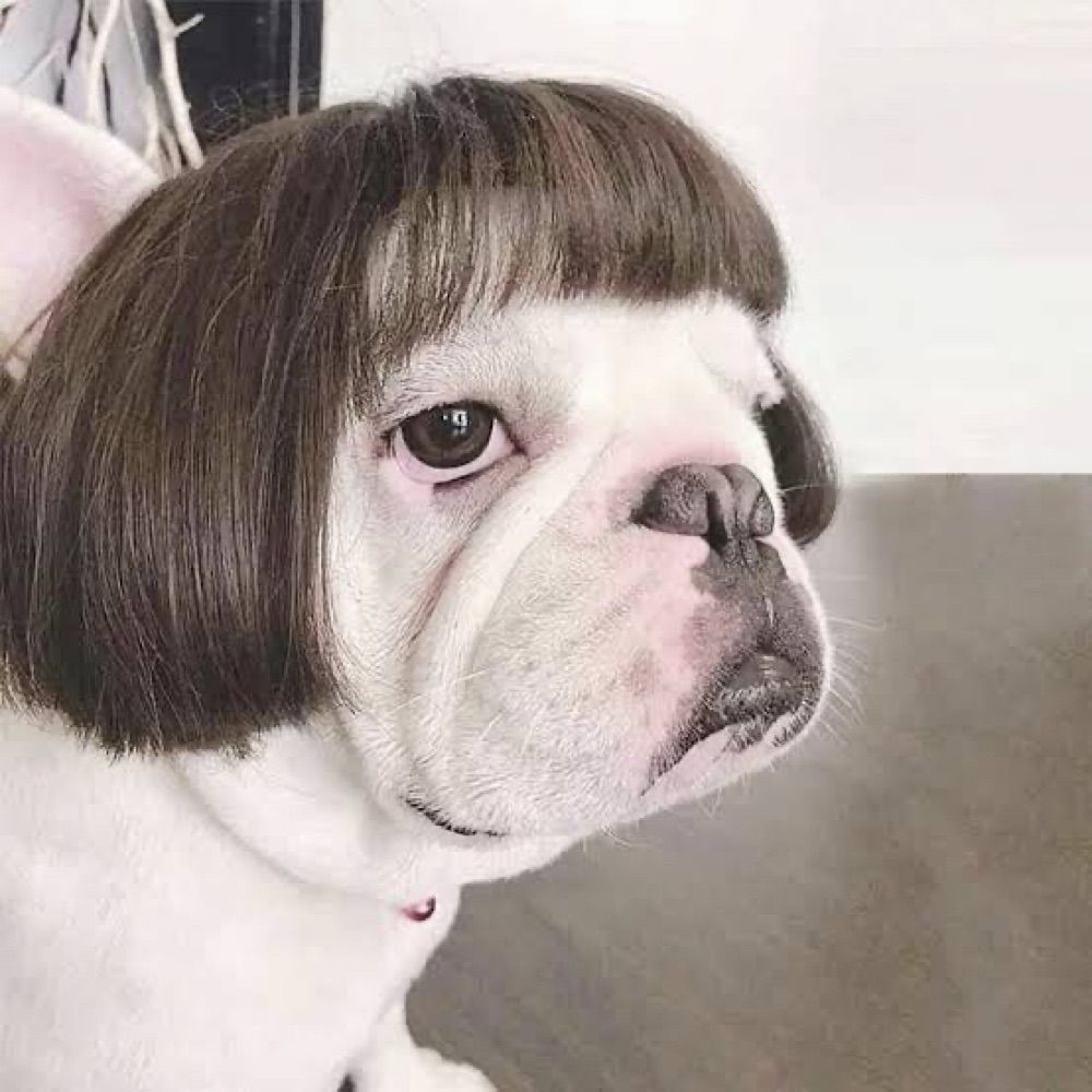 só laura
