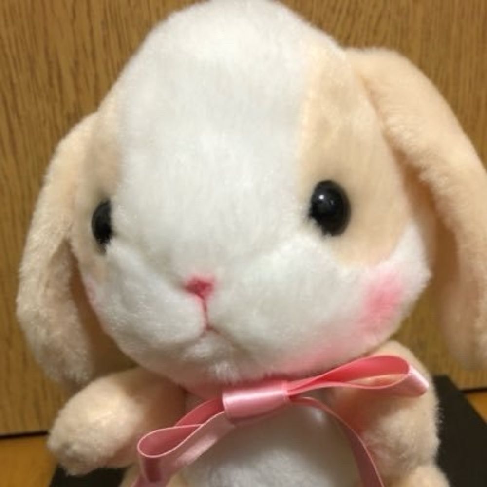 すばるん