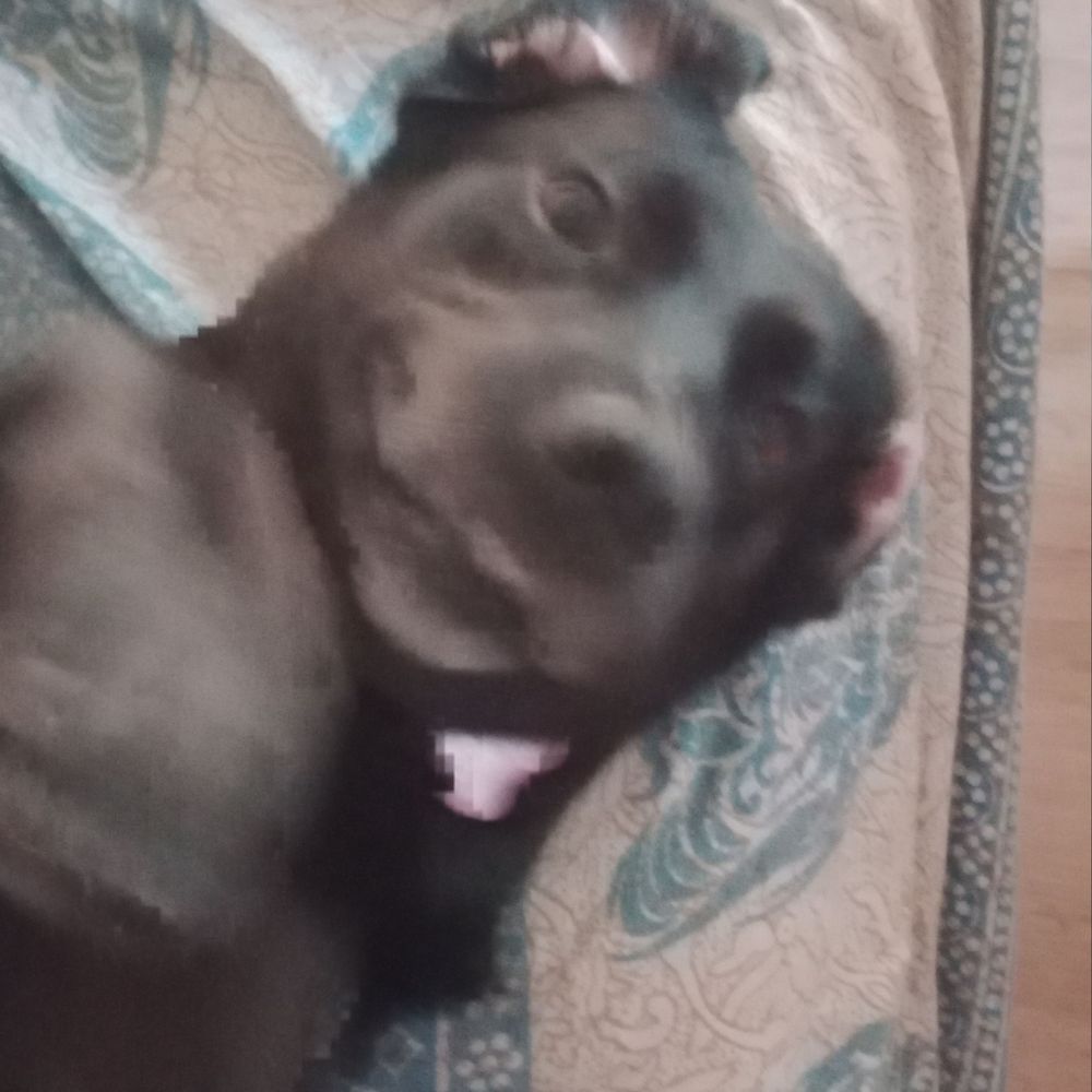 Lu