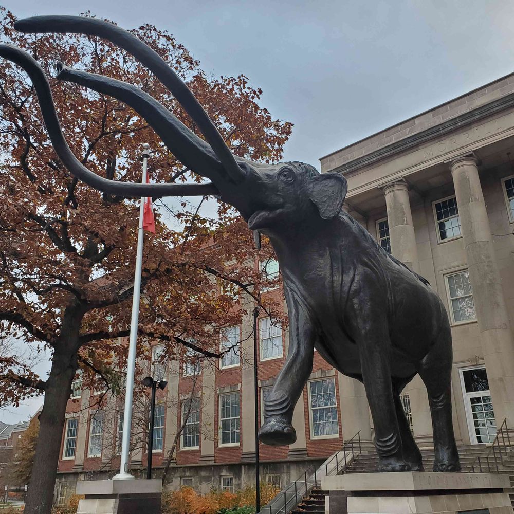 Morrill Hall