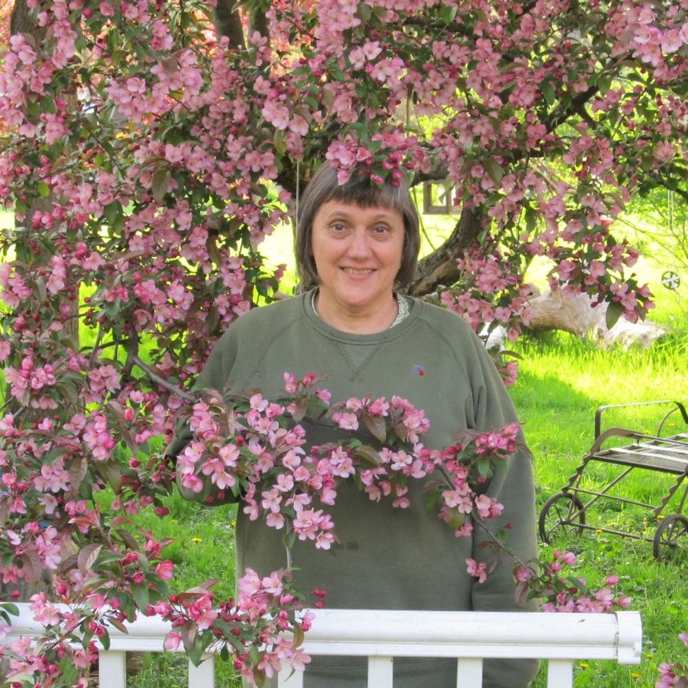 Donna Carmel