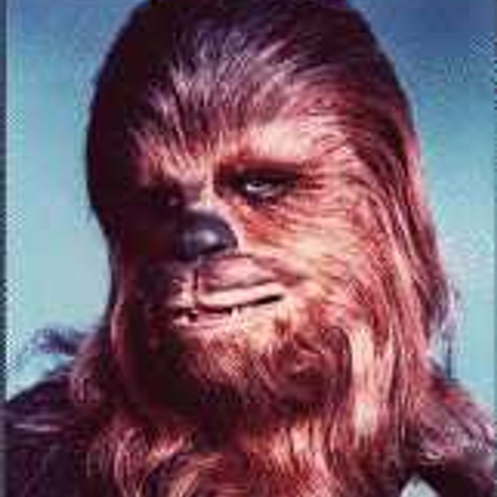 Chewie Bakke