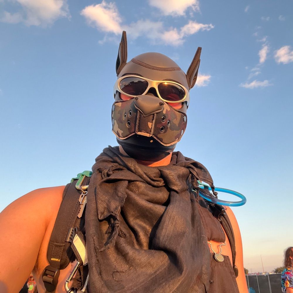 Pupster JP