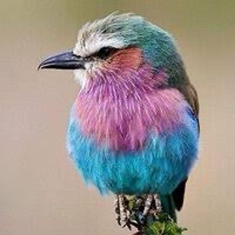 みっちー