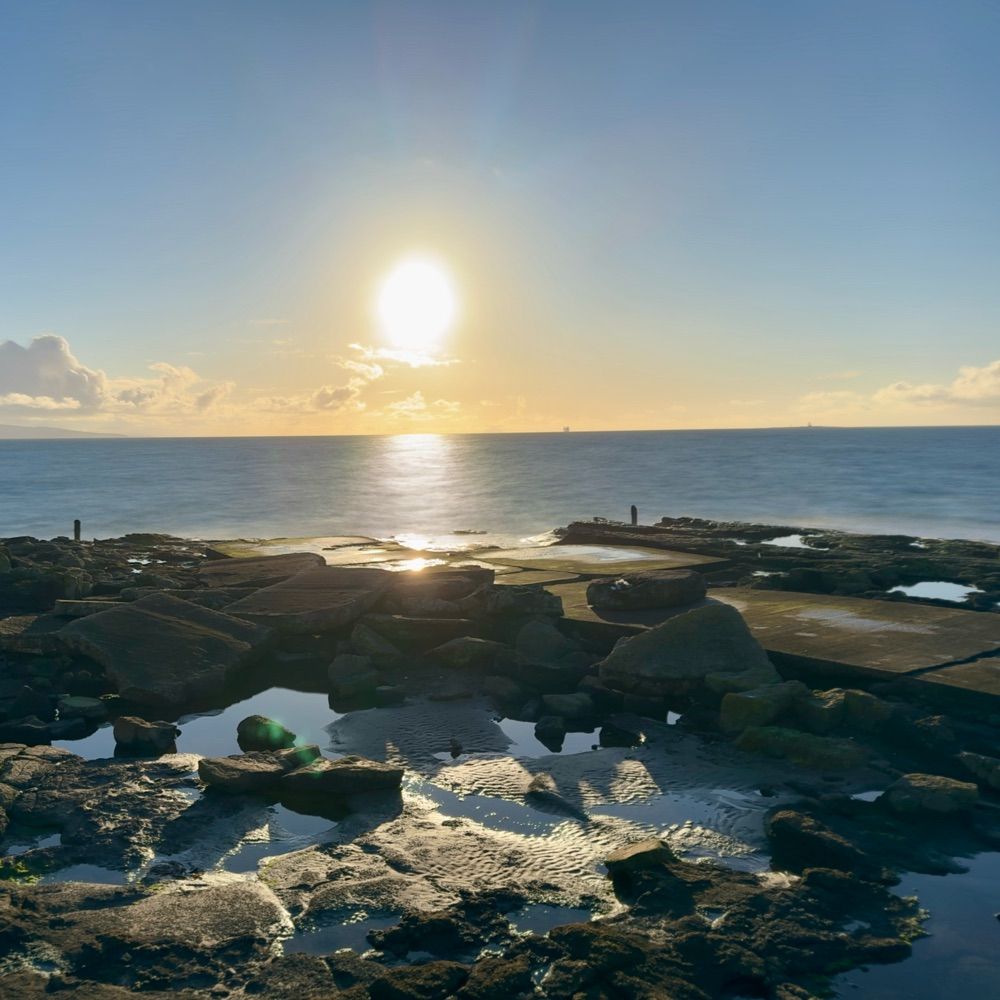 robinosman.bsky.social