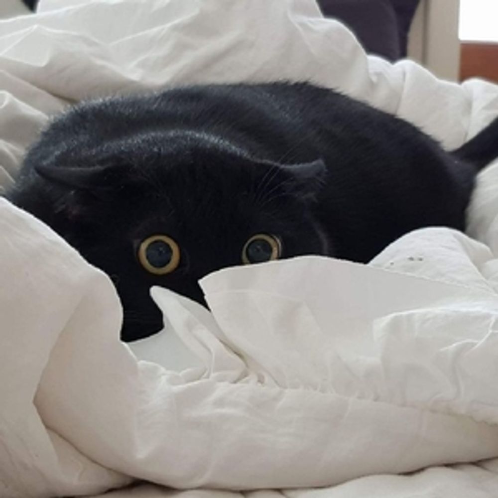 팽