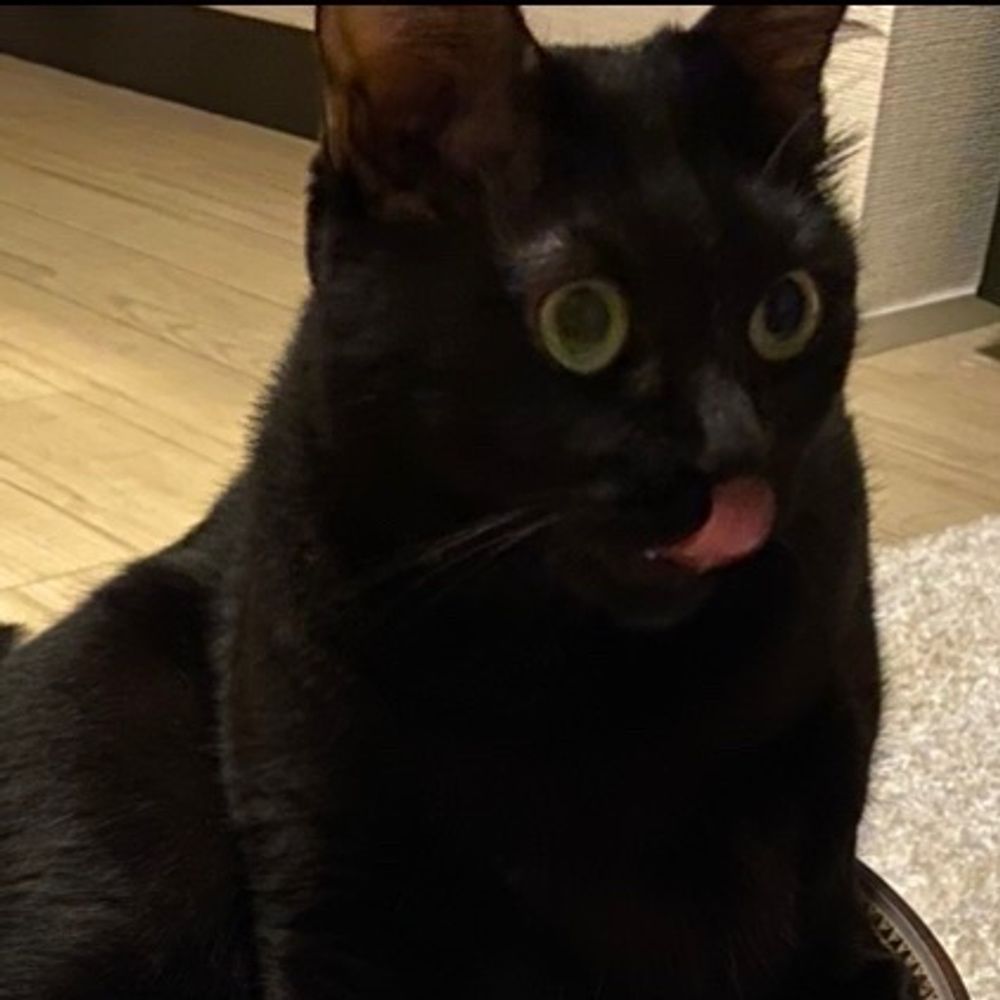 ガチ家酒封印鮎🐈‍⬛