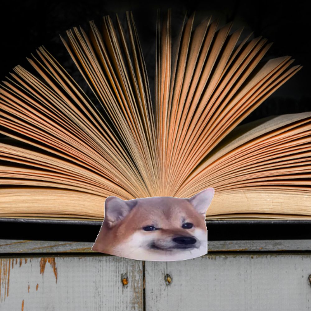 Fella Des Bibliothèques