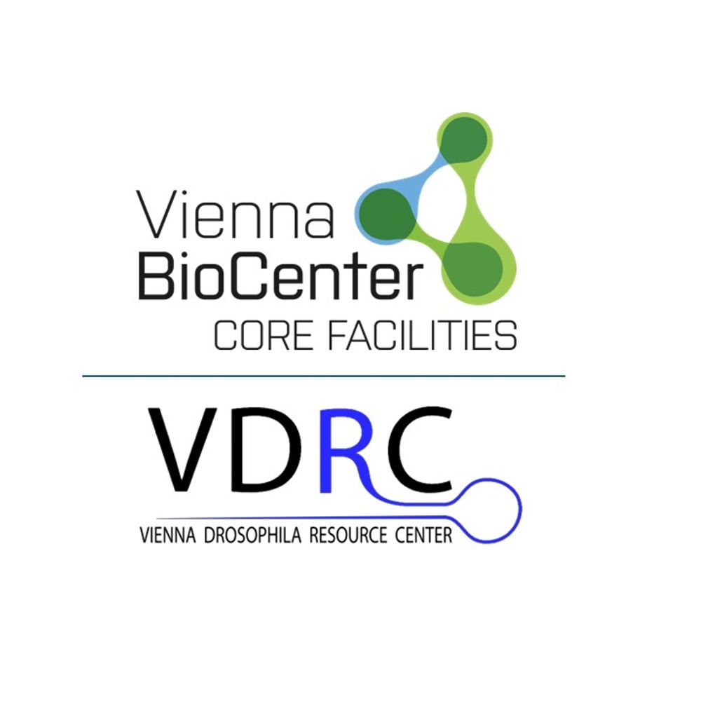 VDRC (Vienna Drosophila Resource Center)
