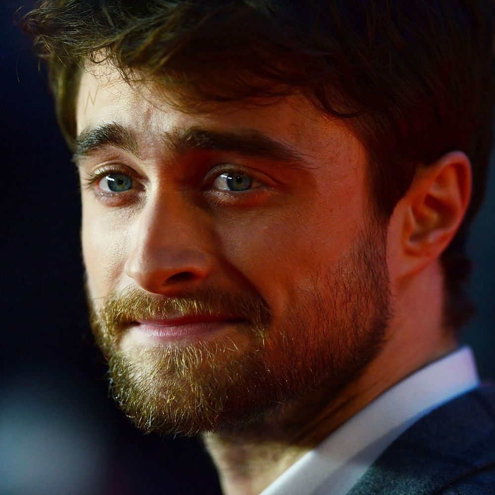 🔥Harry Potter Resists Fascism🔥