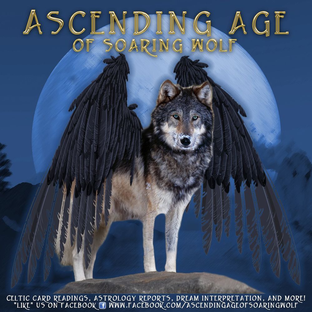 Tim SoaringWolf 