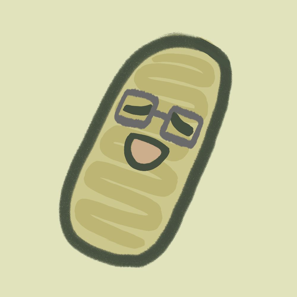 Mito