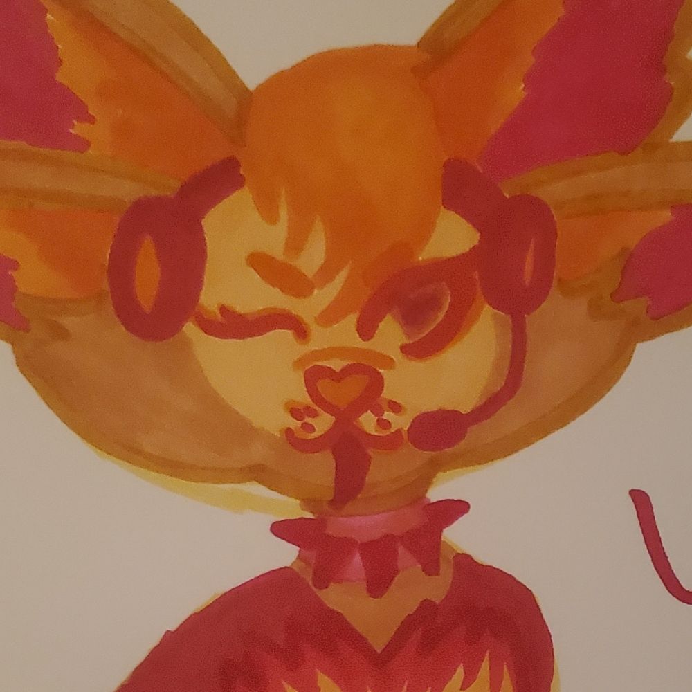 Ris