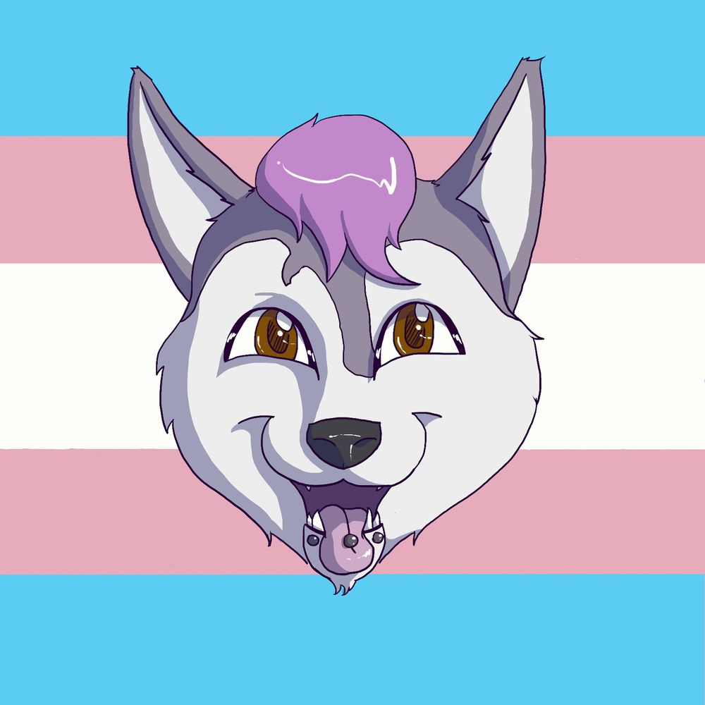 Art of Husky
