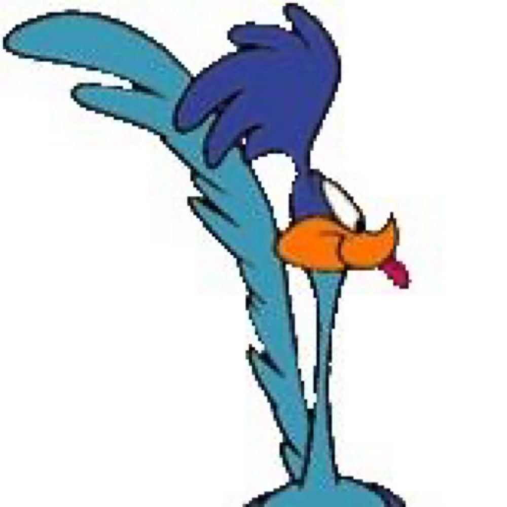 Muskoka Roadrunner
