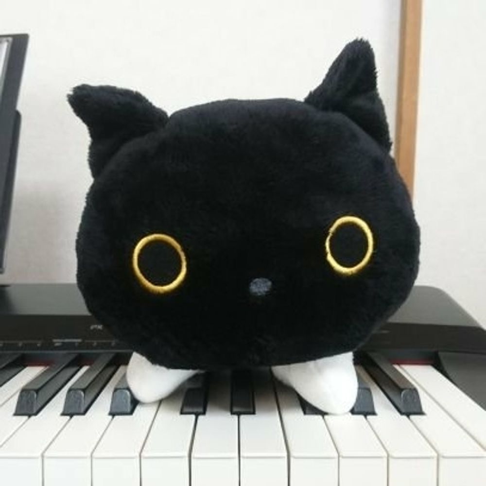 ちゃぱ