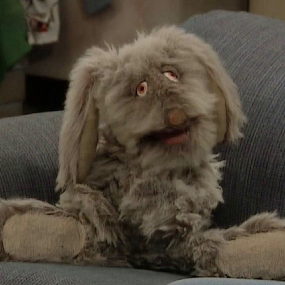 Mr. Floppy