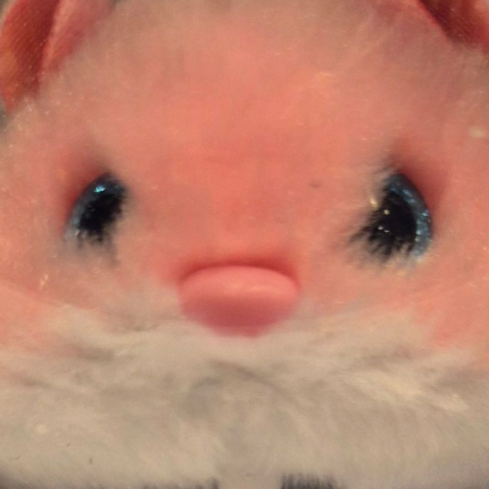 쥐
