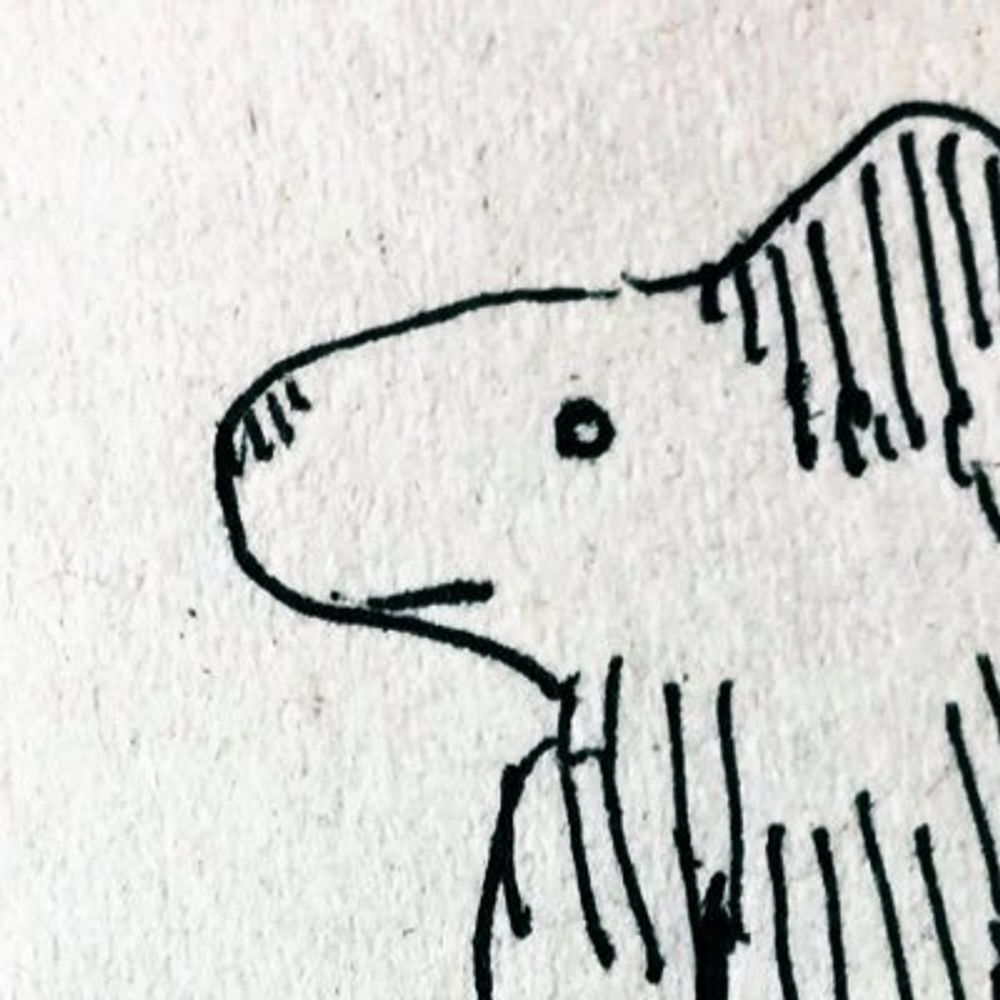 バウ