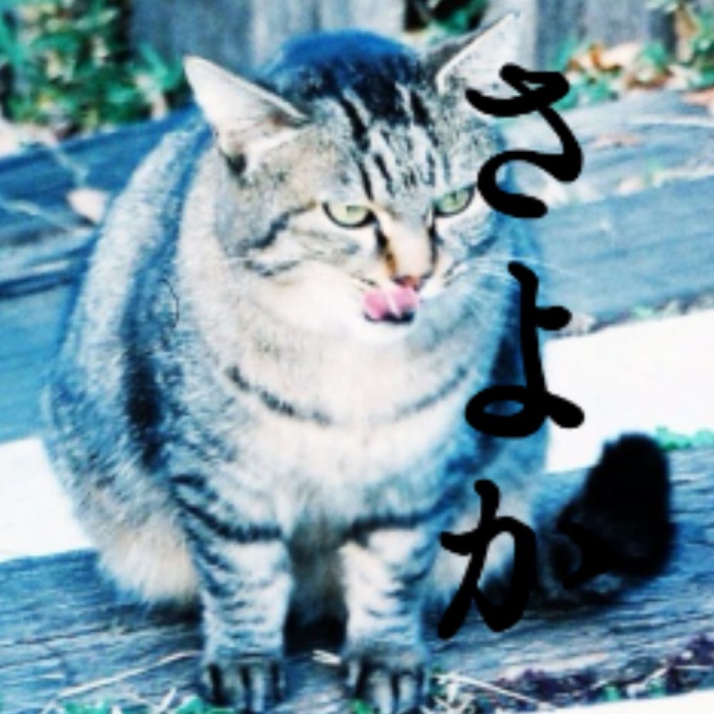ひろすけ