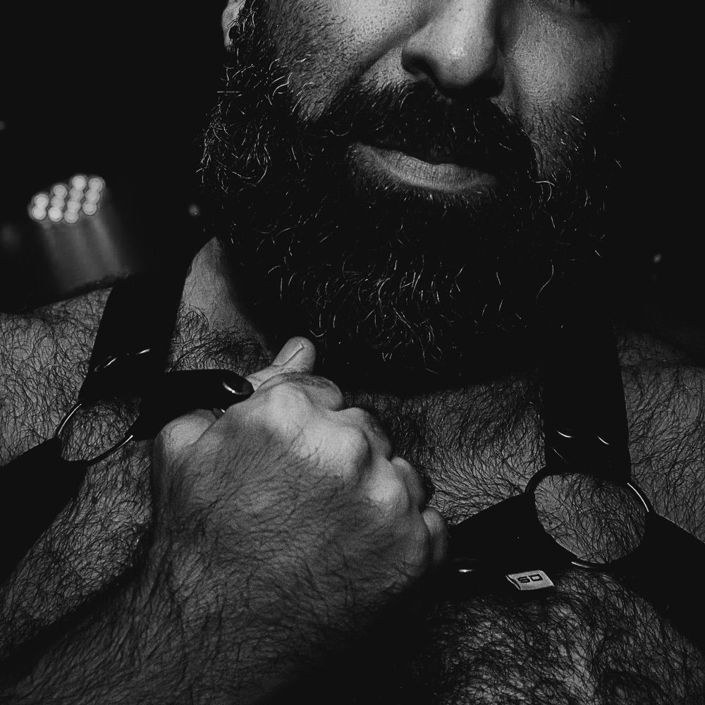 Urso Hairy 🔞