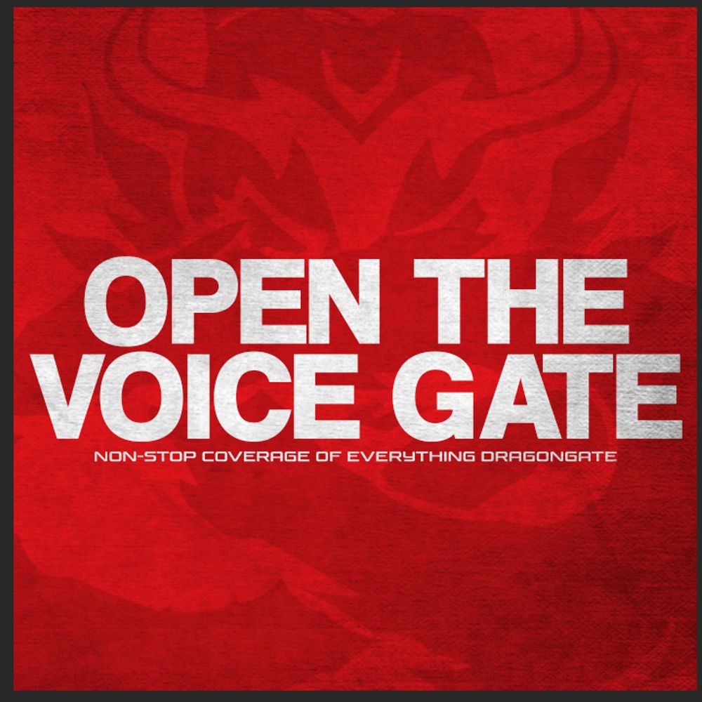 Open The Voice Gate 🤼🐉