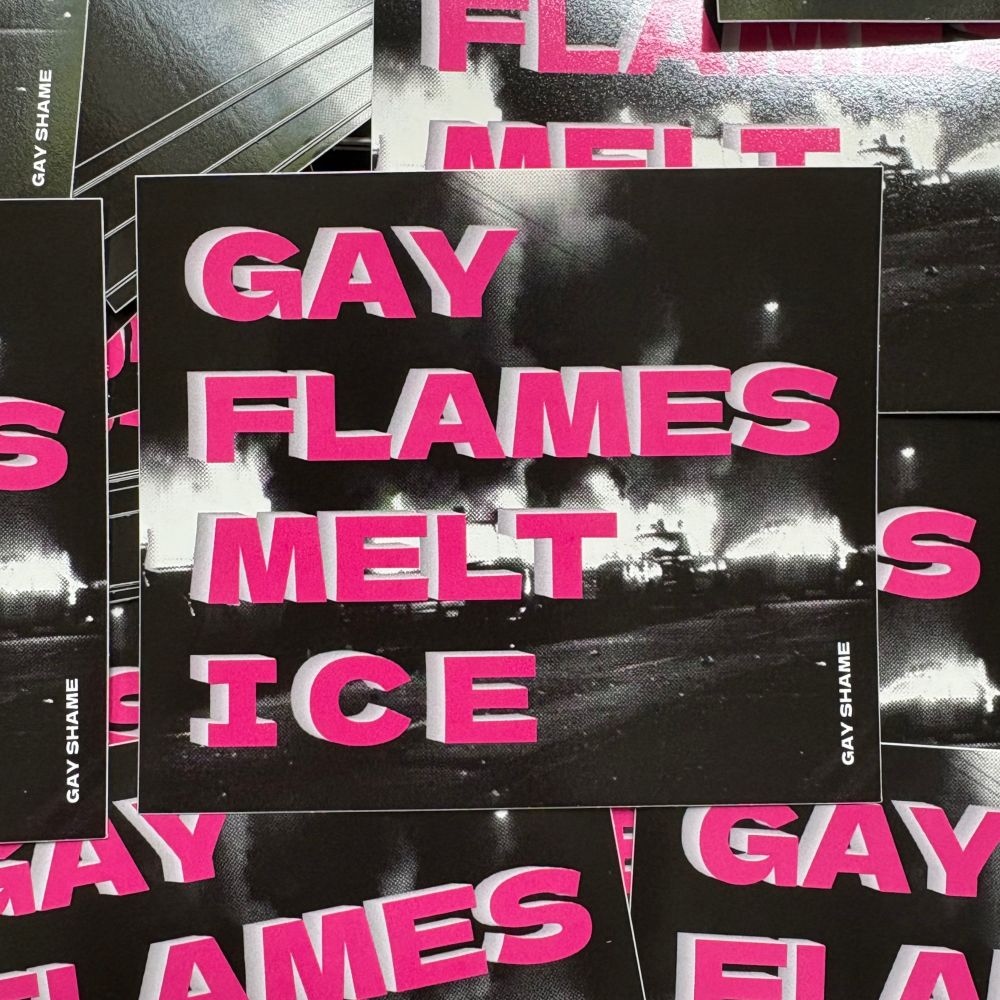 Gay Shame