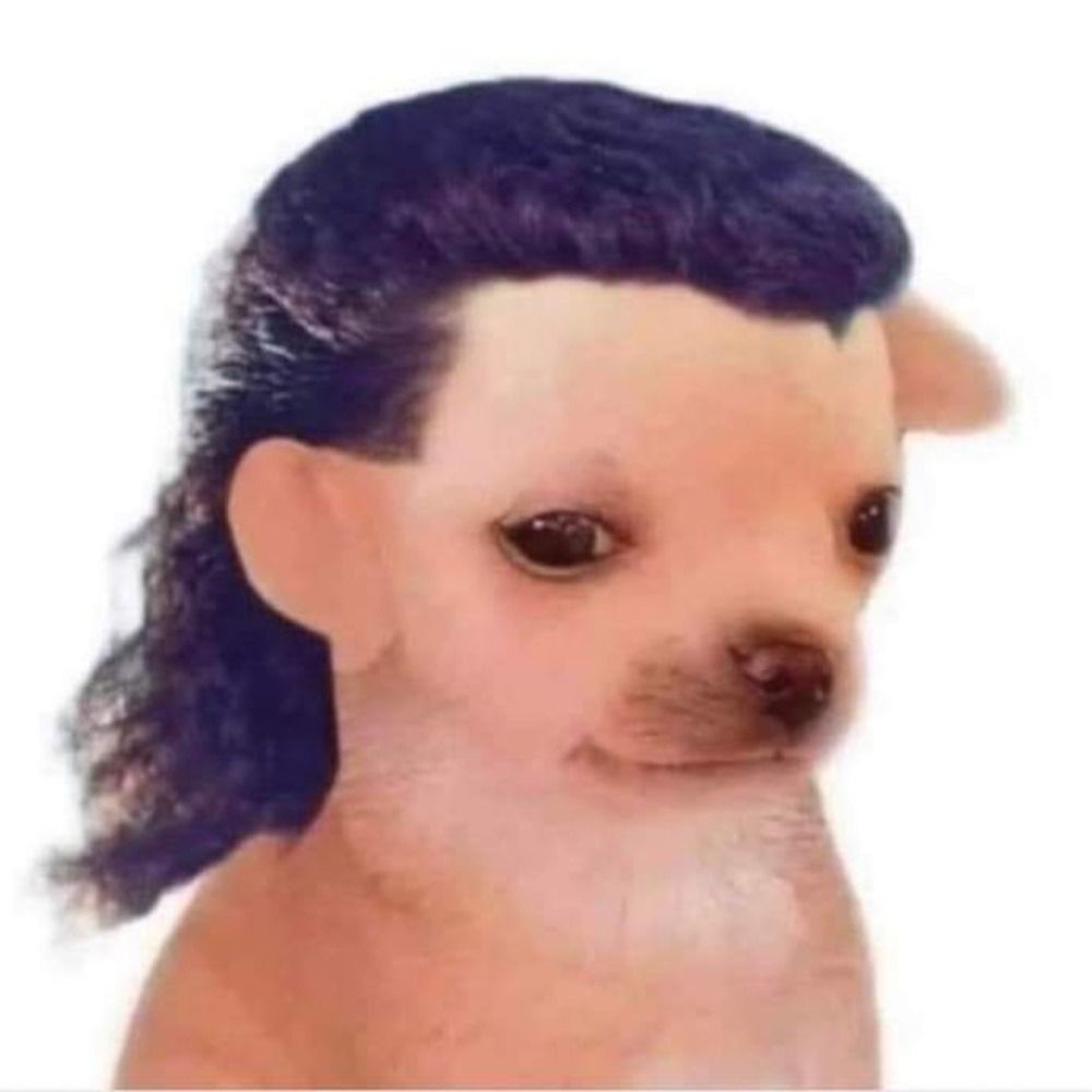 Dusto