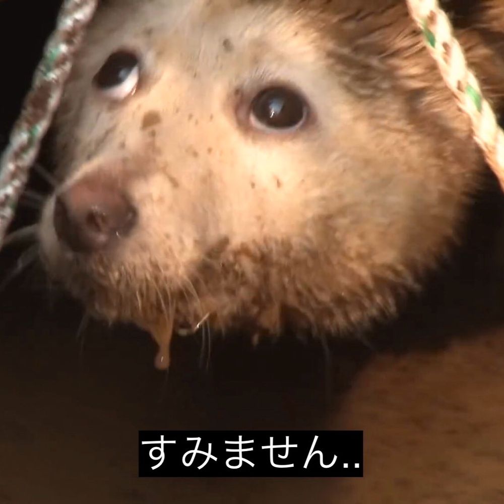 レモンティー