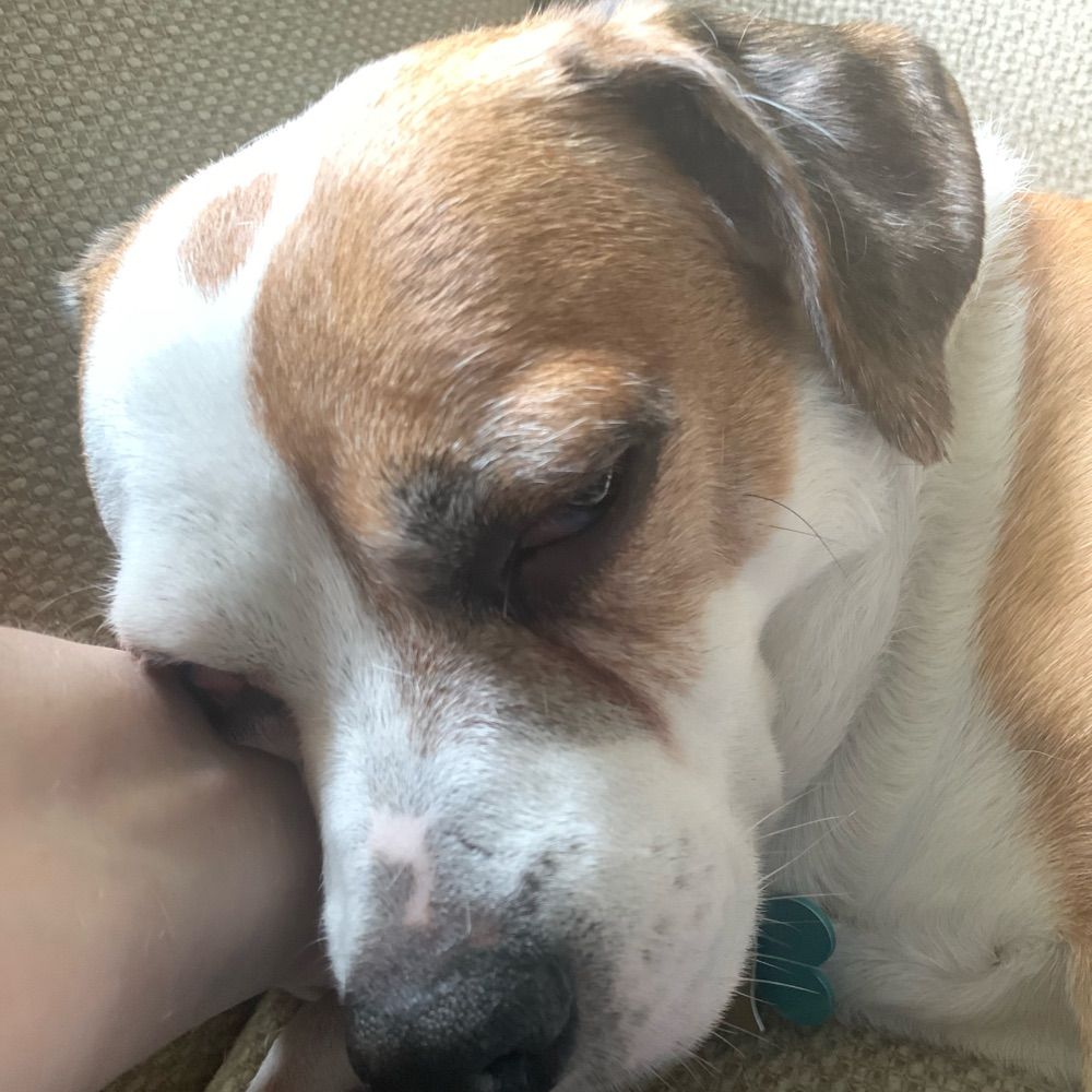 Puppy‘s Mom