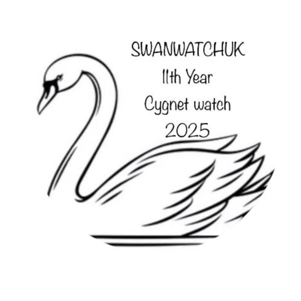Swanwatchuk ryan