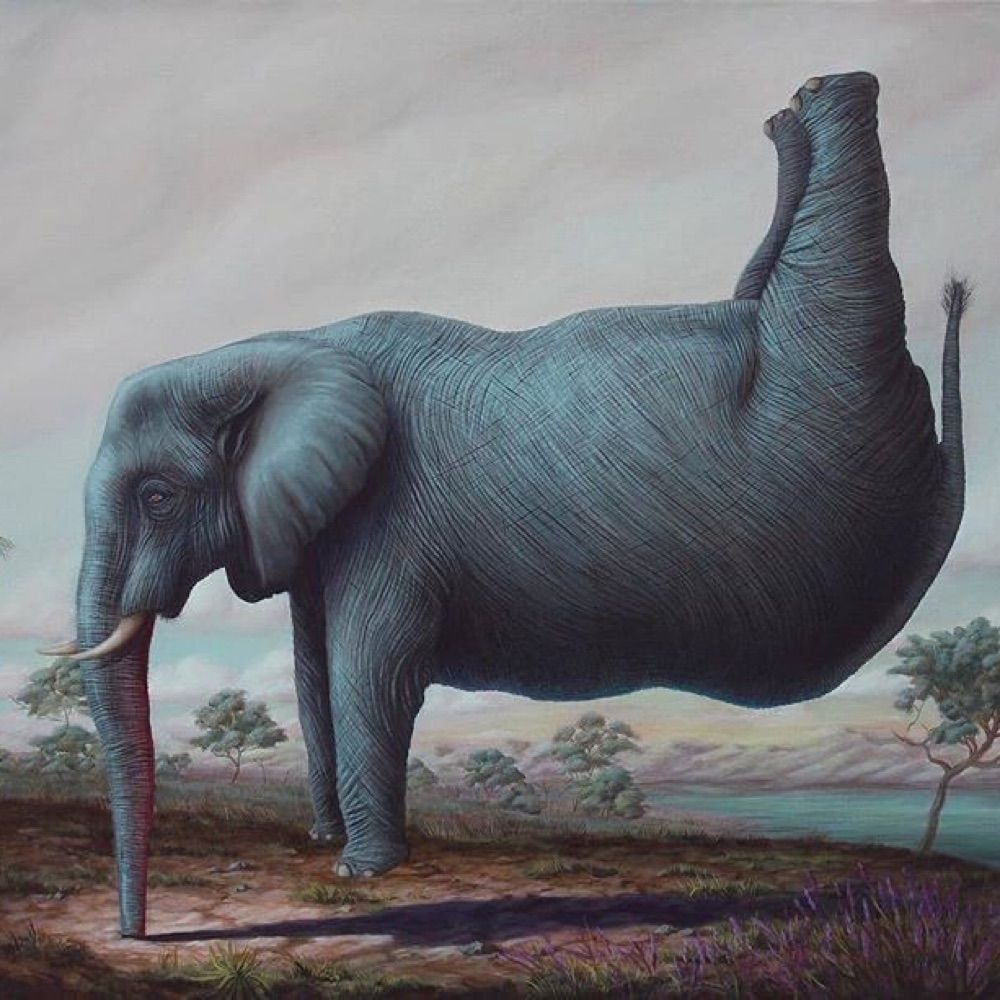 Elephant standing on its trunk