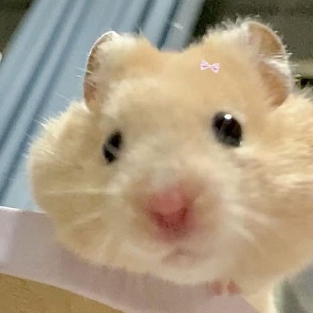 Nick